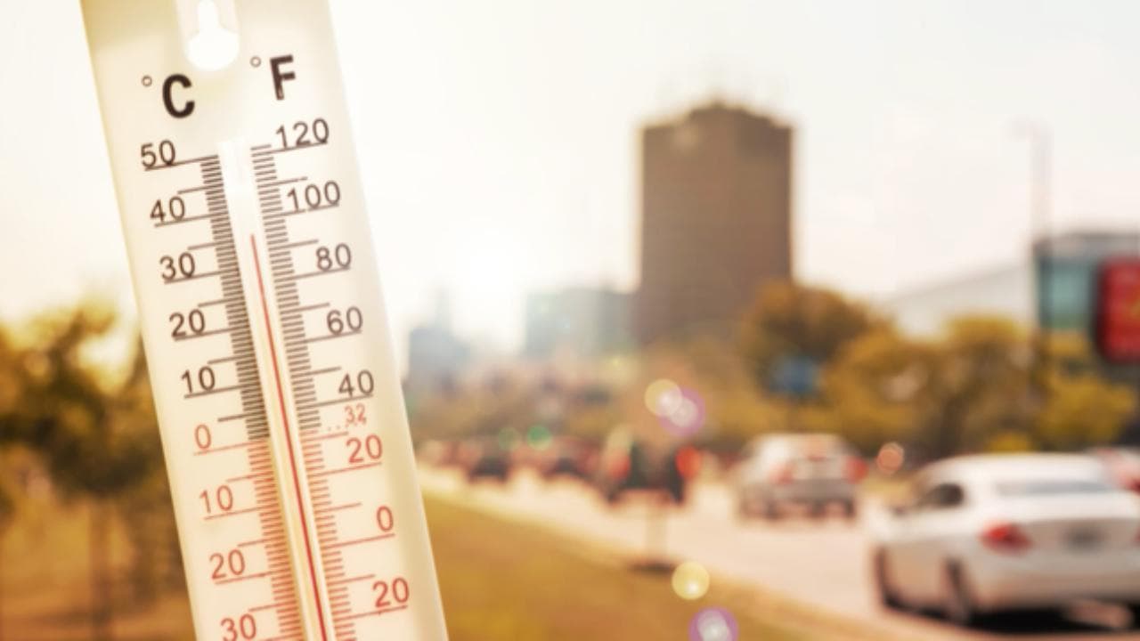 Caldo record in Italia, le 16 città bollino rosso di sabato 14 agosto