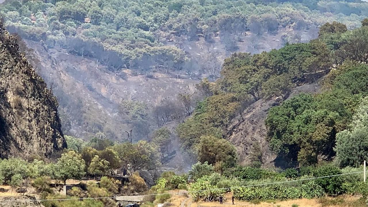 Reggio Calabria, le immagini dell'incendio che ha distrutto l'area grecanica