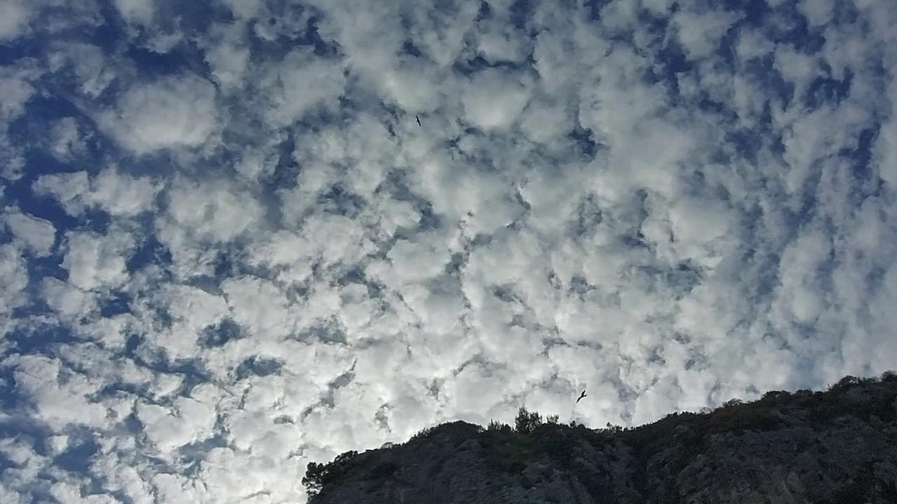 "Core analfabeta / Ammore perduto": le poesie di Totò tornano in chiave elettronica