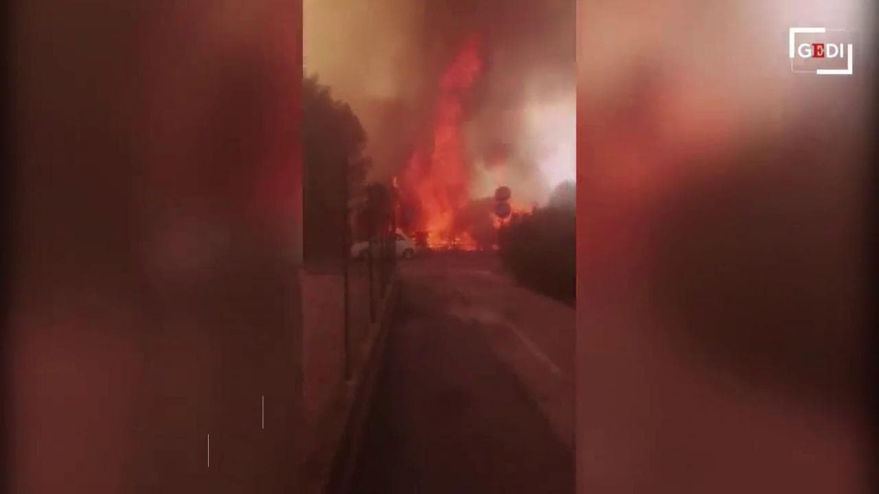 Incendi in Abruzzo, in fiamme la pineta Dannunziana: ecco la storia del luogo simbolo di Pescara