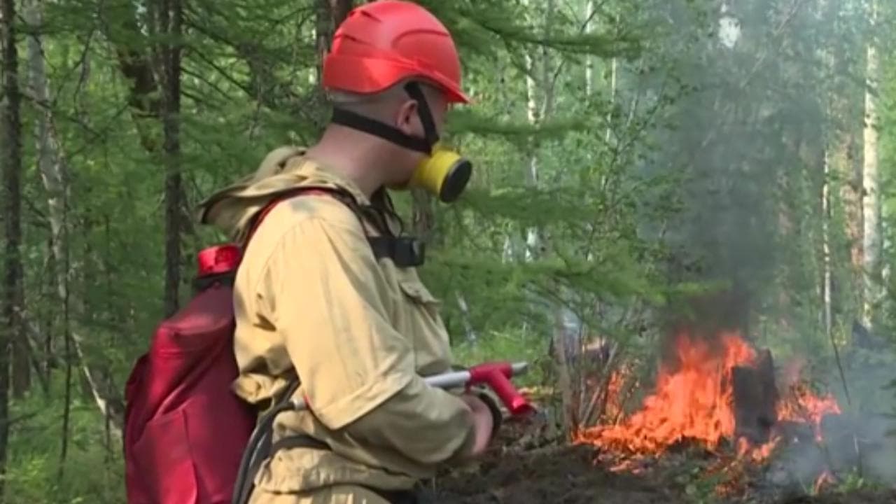 Russia, i vigili del fuoco al lavoro per domare le fiamme in Siberia