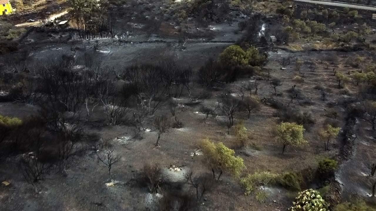 Sardegna, quello che resta a Cuglieri dopo le fiamme: le immagini dal drone