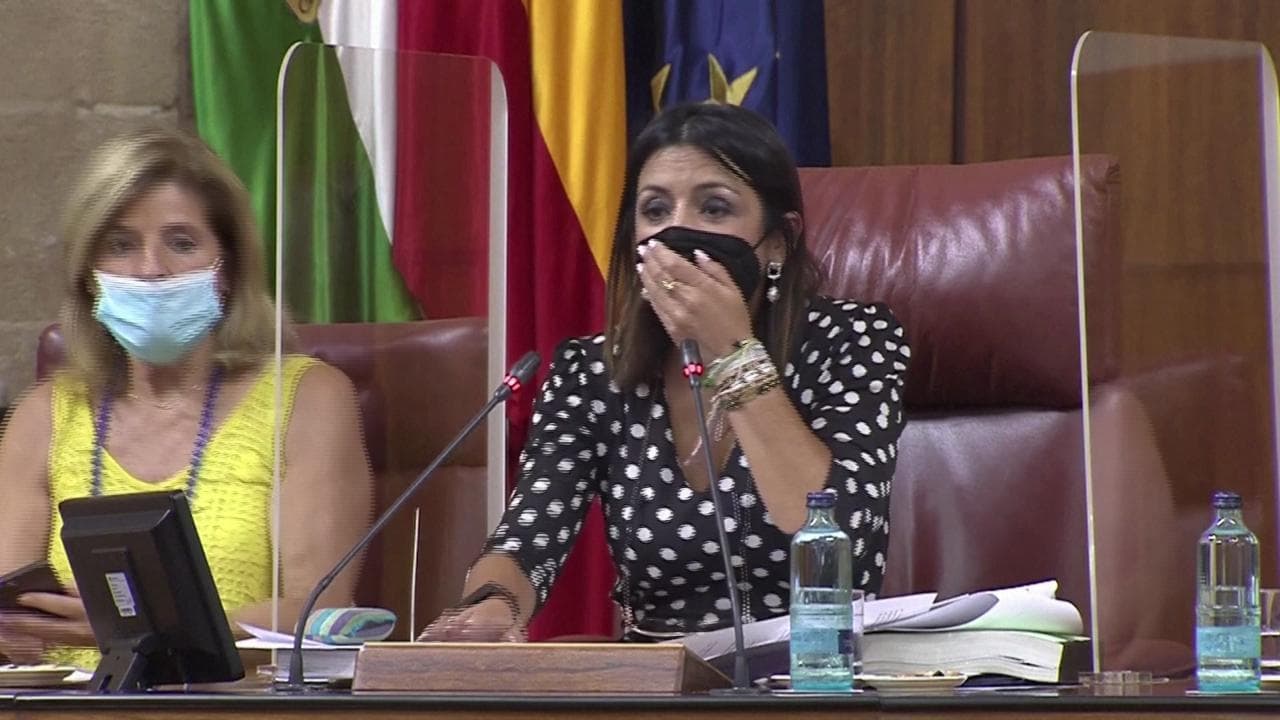 Andalusia, un topo interrompe la seduta del parlamento: spavento e risate