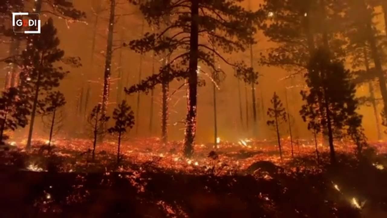 California, vasti incendi bruciano foreste e boschi: i vigili del fuoco tentano di domare le fiamme