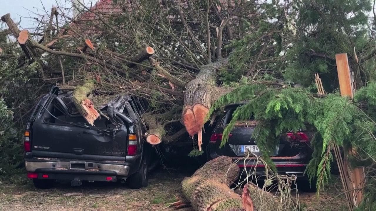 Francia, alberi sradicati e auto distrutte: i danni causati dal passaggio della tempesta Ciaran