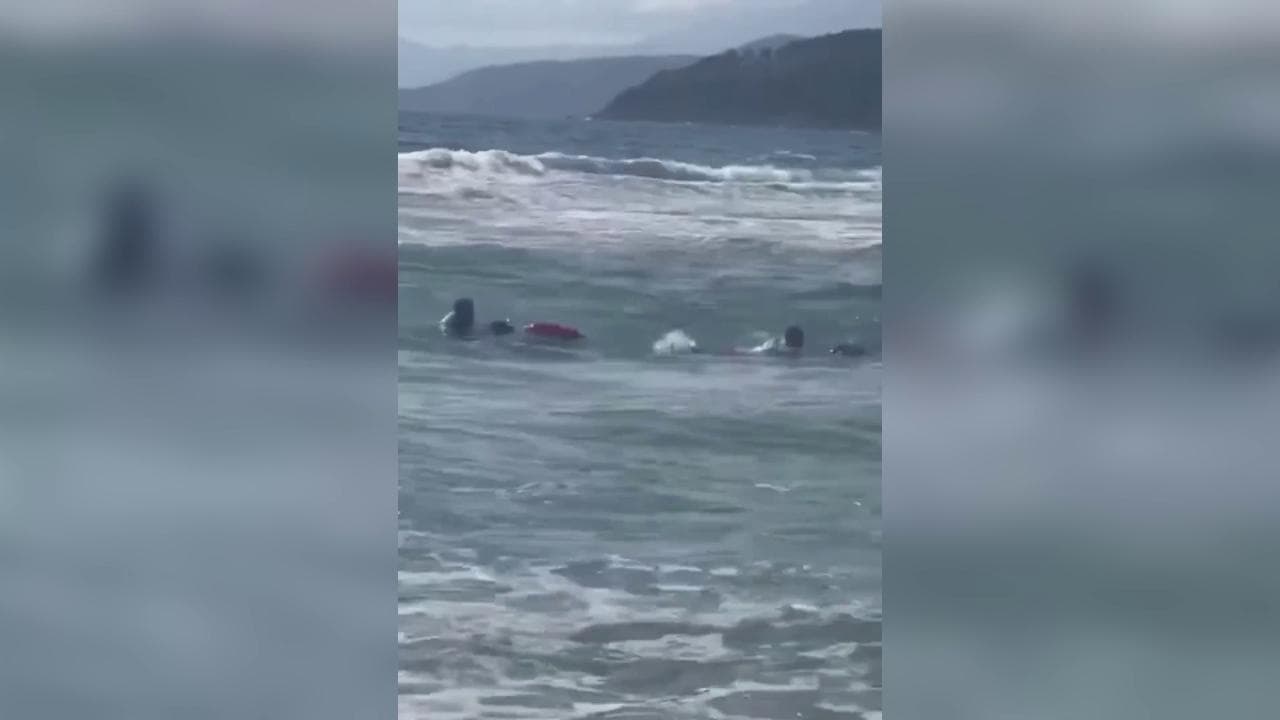 Palinuro, 15enne rischia di annegare: salvata e portata a riva da due cani labrador bagnino