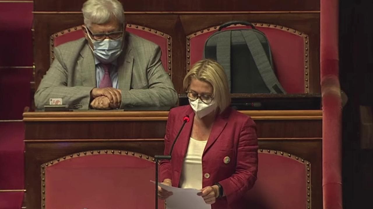 Ddl Zan, Masini la senatrice di Forza Italia che ha fatto coming out: "Mia madre mi disse 'ho paura per te'"
