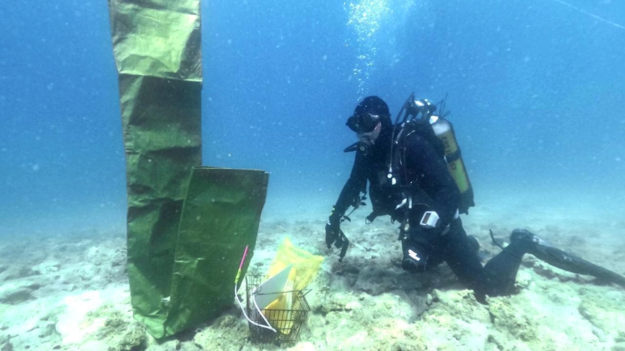 Croazia, la scoperta in fondo al mare: un villaggio neolitico di 6mila anni fa
