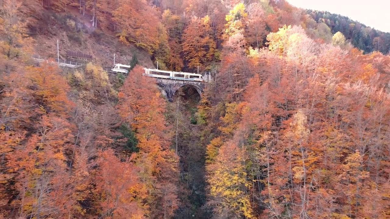 La magia dell'autunno vista dai vagoni di un'antica ferrovia: tra Italia e Svizzera a bordo del "Treno del foliage"