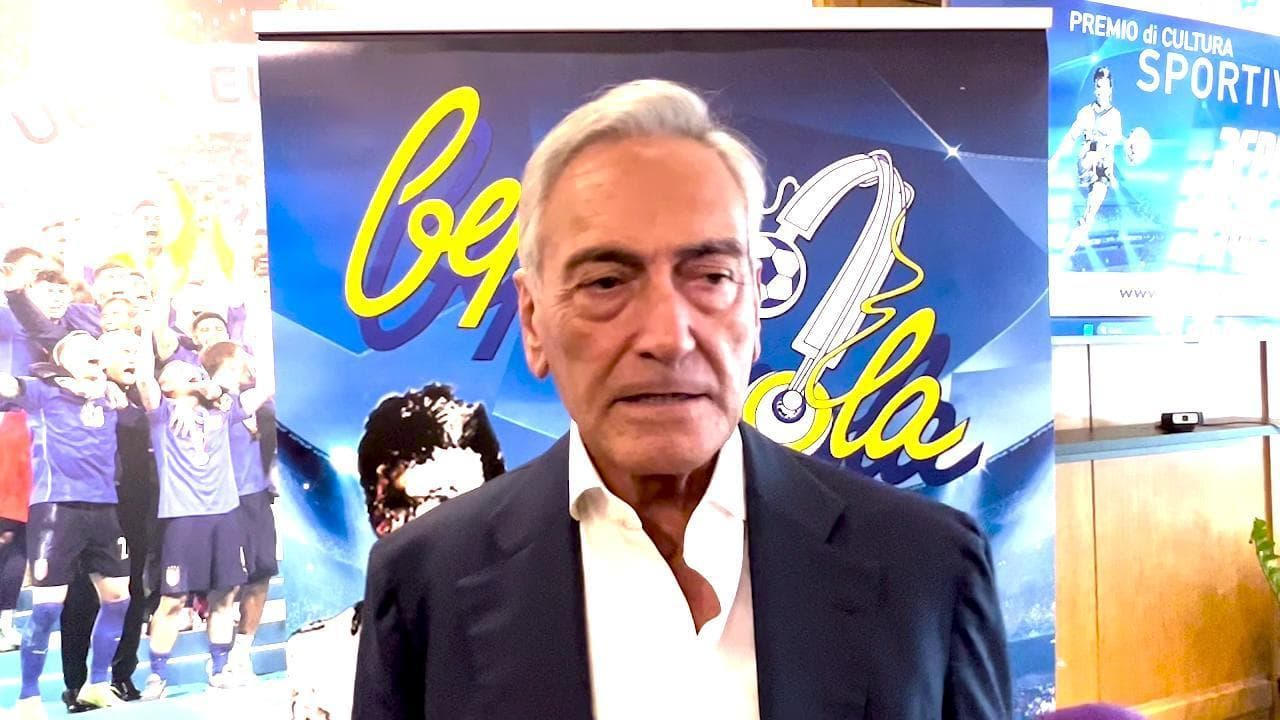 Il presidente della Figc Gravina: "L'autonomia dello sport va rispettata, solo così c'è democrazia"