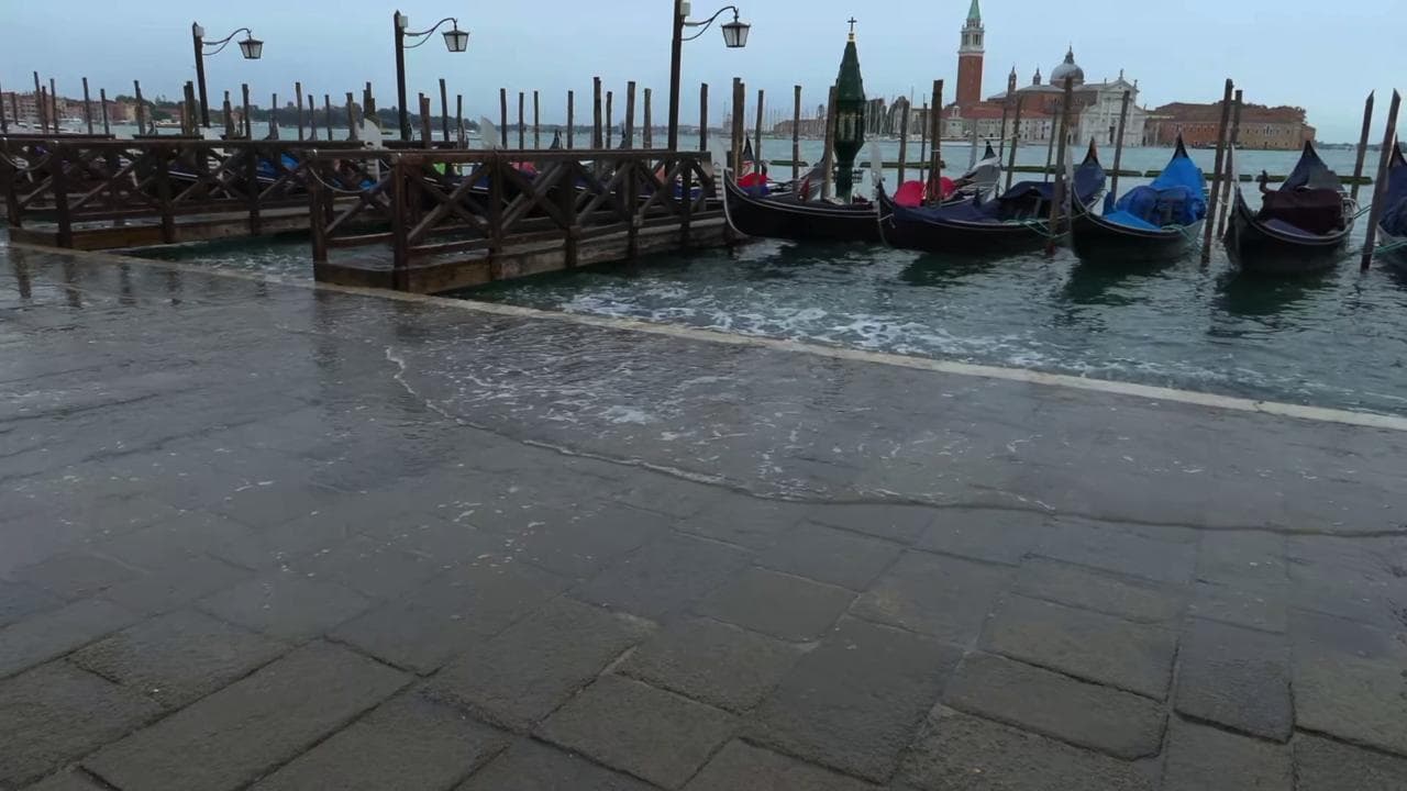 Torna l'acqua alta in piazza San Marco: l'autunno arriva a Venezia