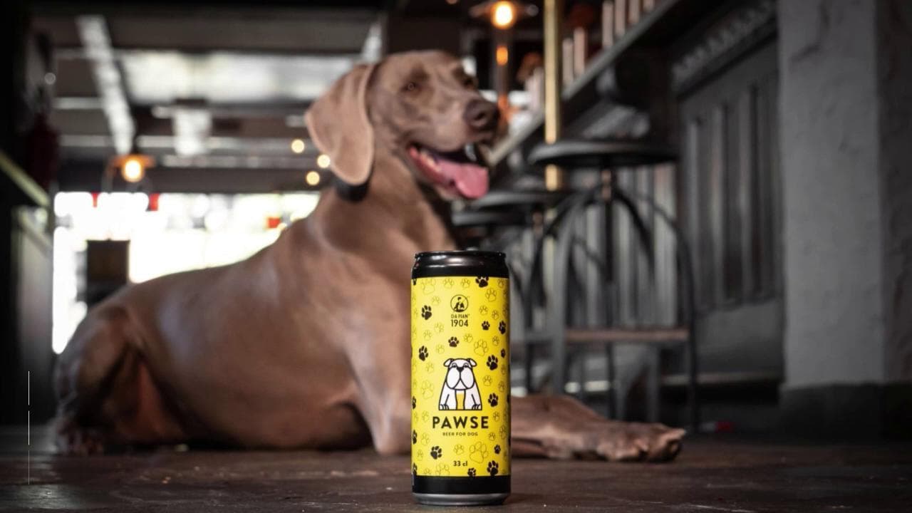 Treviso: ecco Pawse, la prima birra per cani italiana
