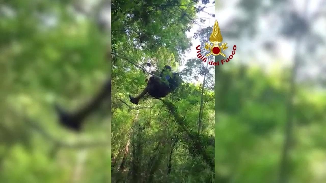 Genova, parapendista rimane impigliato in un bosco a 20 metri d'altezza