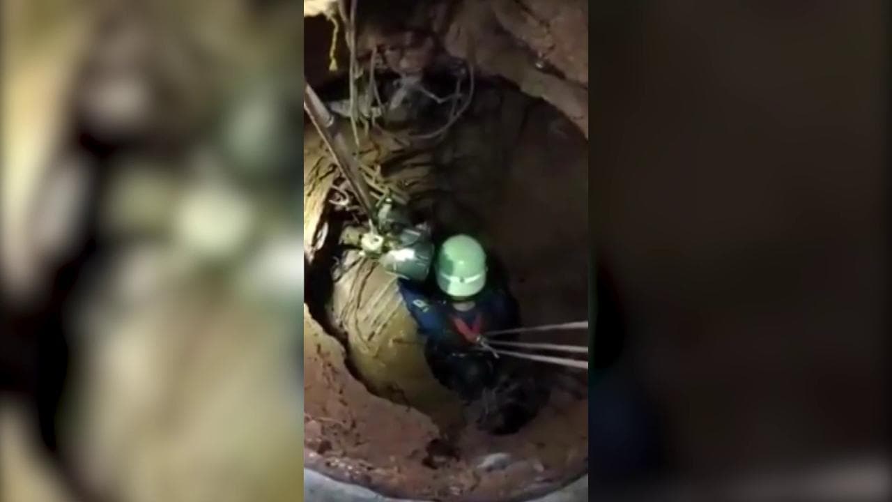 Gatto cade in un pozzo profondo 12 metri: l'intervento dei vigili del fuoco è decisivo