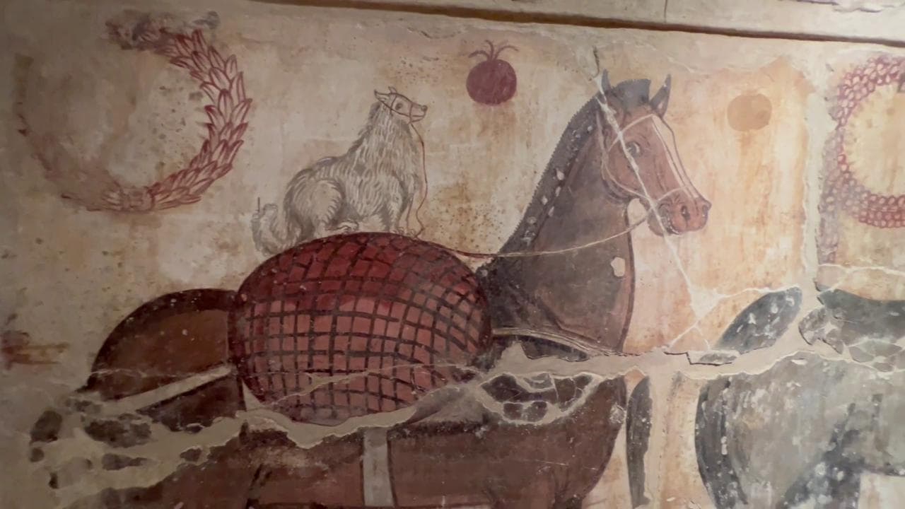 Paestum, riapre il museo con straordinari pezzi d'arte