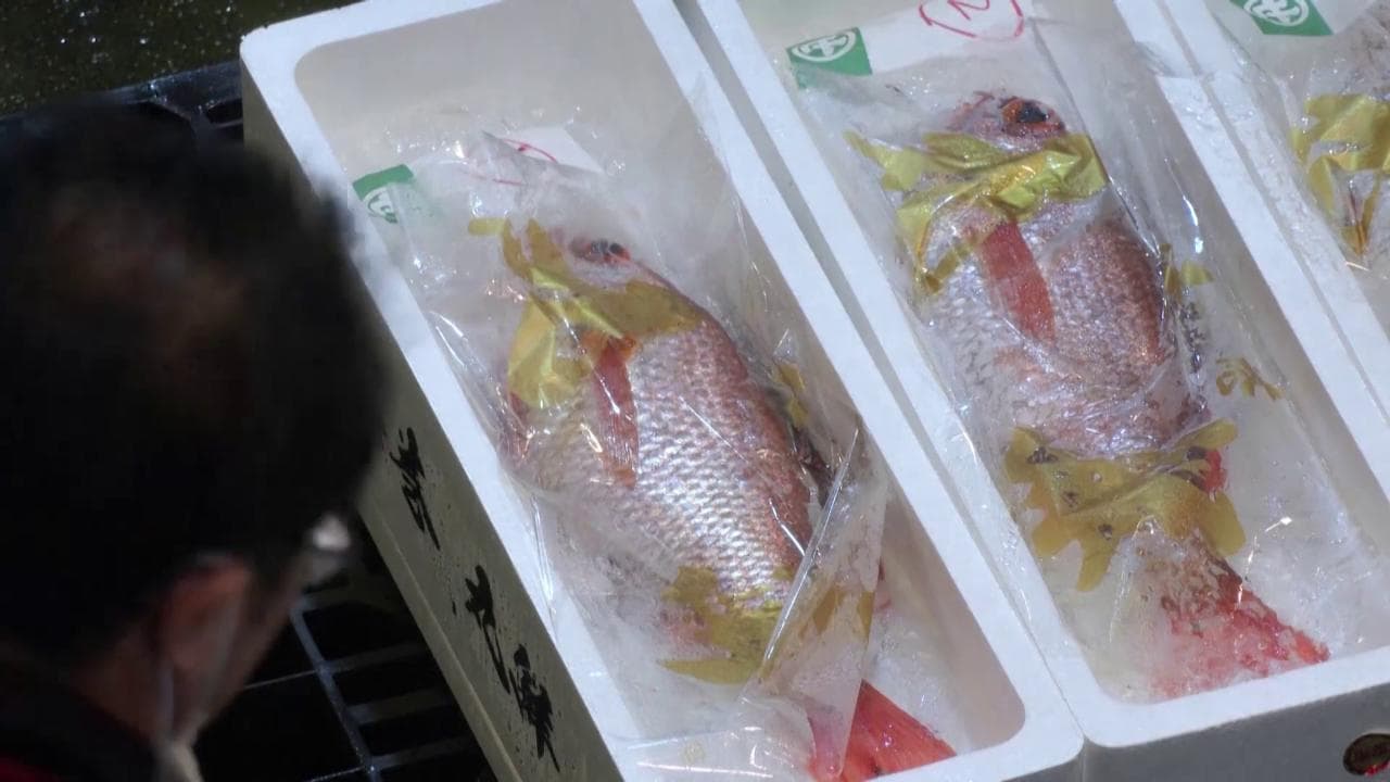 È sicuro mangiarlo? Il "piano" giapponese per evitare preoccupazioni sul pesce di Fukushima