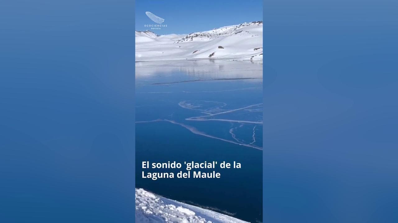 In Cile il fenomeno del lago ghiacciato che "canta"