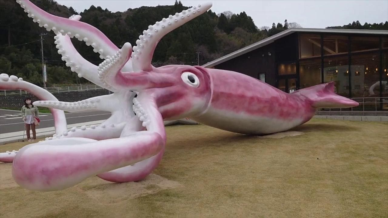 Giappone, il calamaro gigante pagato con i fondi Covid per rilanciare il turismo