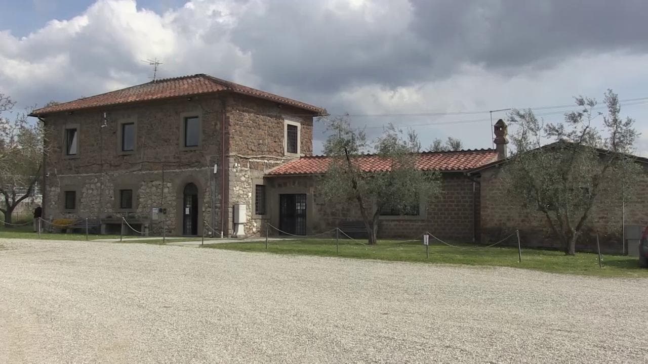 Smartbee: il progetto dell'Università della Tuscia per l'apicoltura di precisione