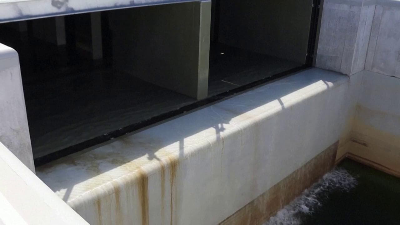 Fukushima, il video che mostra l'inizio del rilascio dell'acqua contaminata nel Pacifico