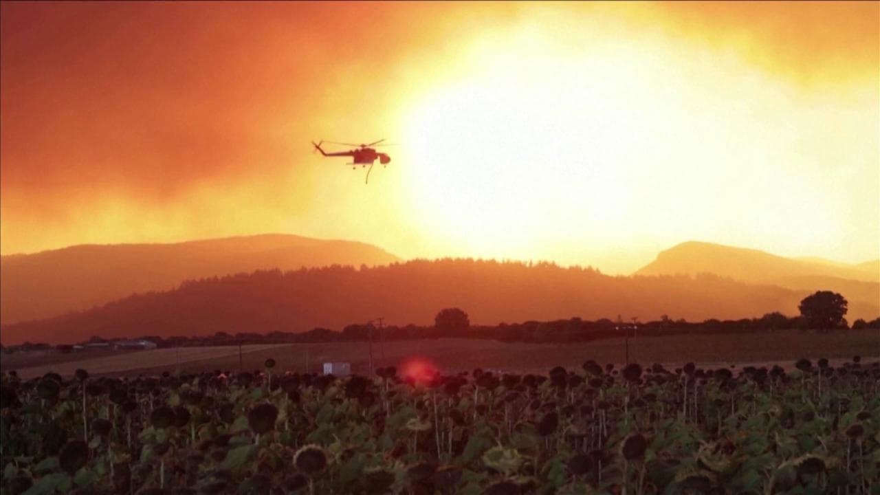 Gli incendi bruciano la Grecia: le immagini dall'inferno di Evros