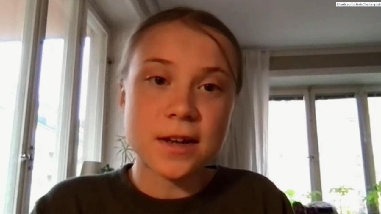 Giornata della Terra, l'appello di Greta Thunberg: "È ora di fare la cosa giusta"