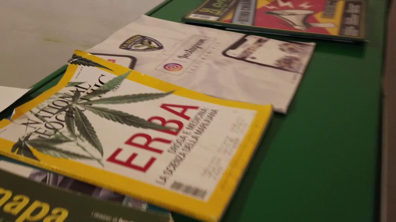 Cannabis medica, le voci dei pazienti: "Il nostro diritto negato alla terapia del dolore"