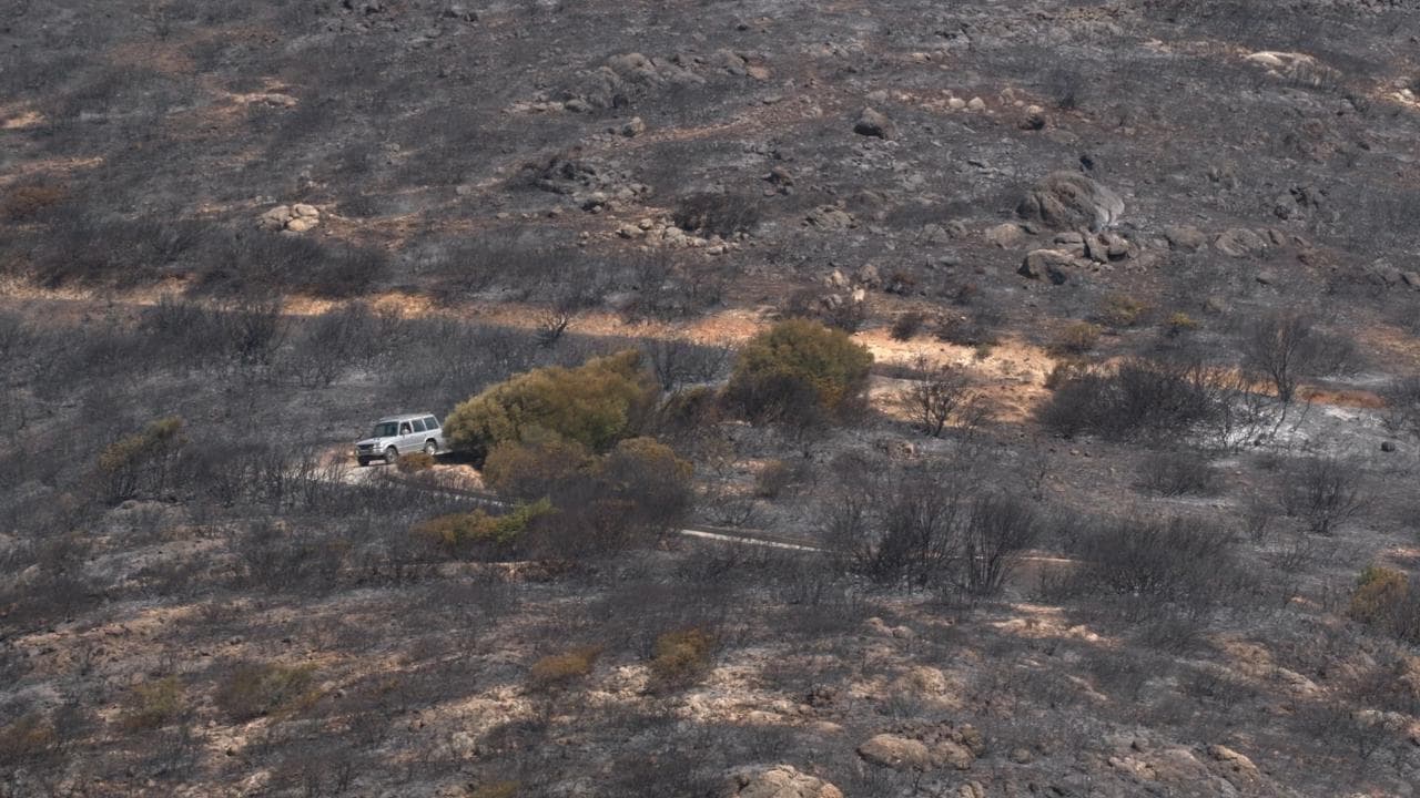 Il giorno dopo il maxi incendio in Sardegna: devastata la vegetazione, danni a case e automobili