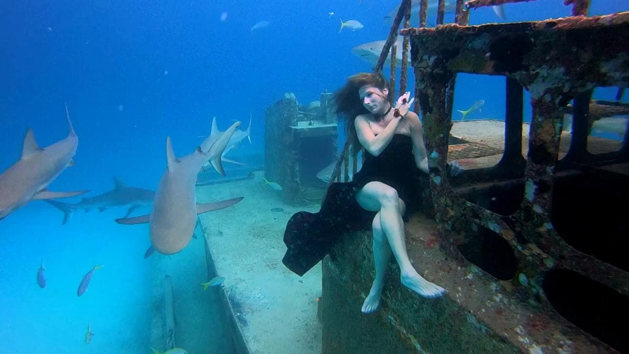 La modella più coraggiosa del mondo: in posa tra gli squali nelle acque dell'Oceano