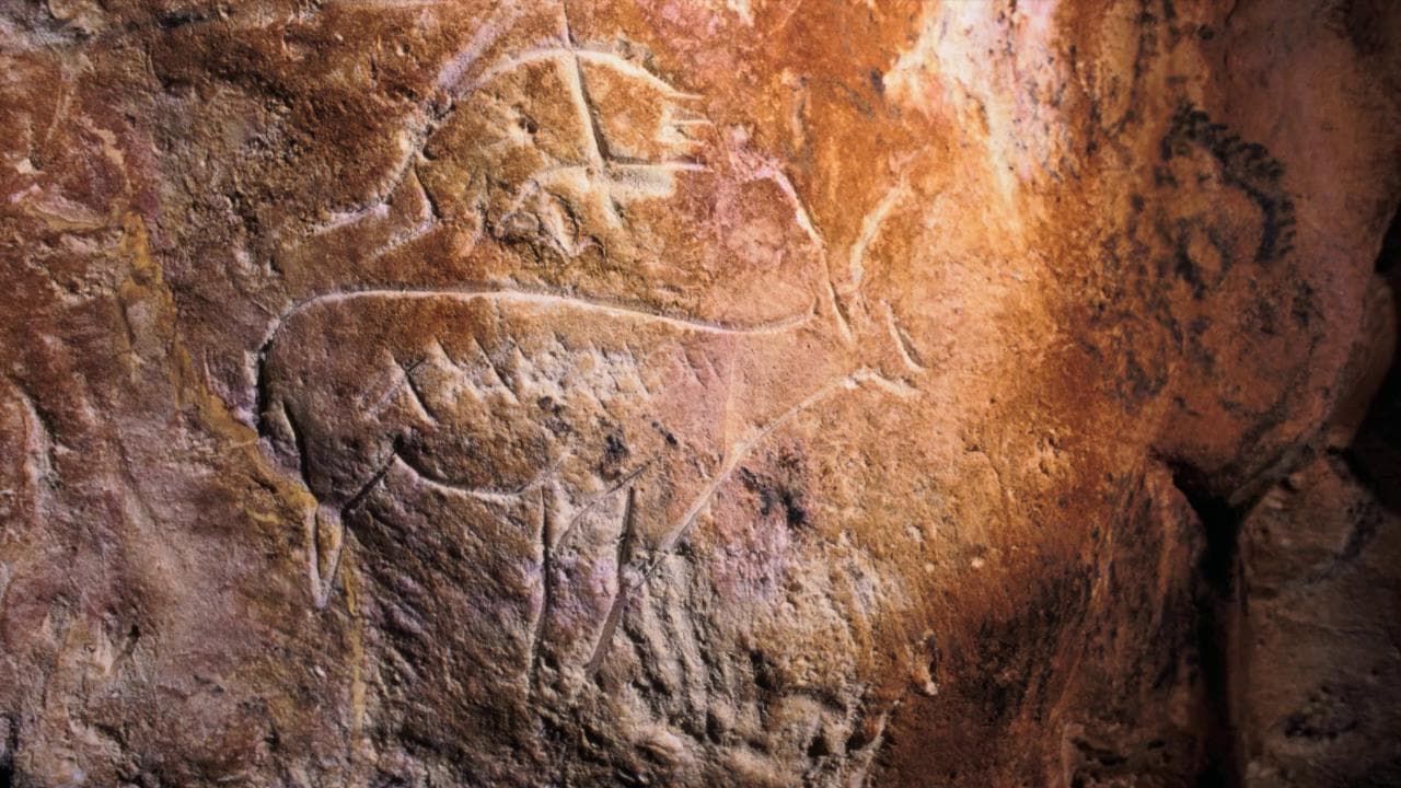 Francia, i tesori della grotta sommersa sono in pericolo: scienziati la stanno ricostruendo