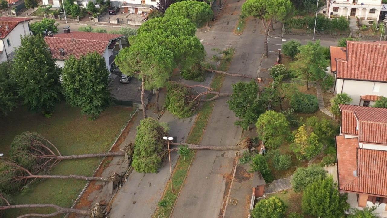 Il maltempo si abbatte sulle zone alluvionate: gli alberi sradicati dalle raffiche di vento