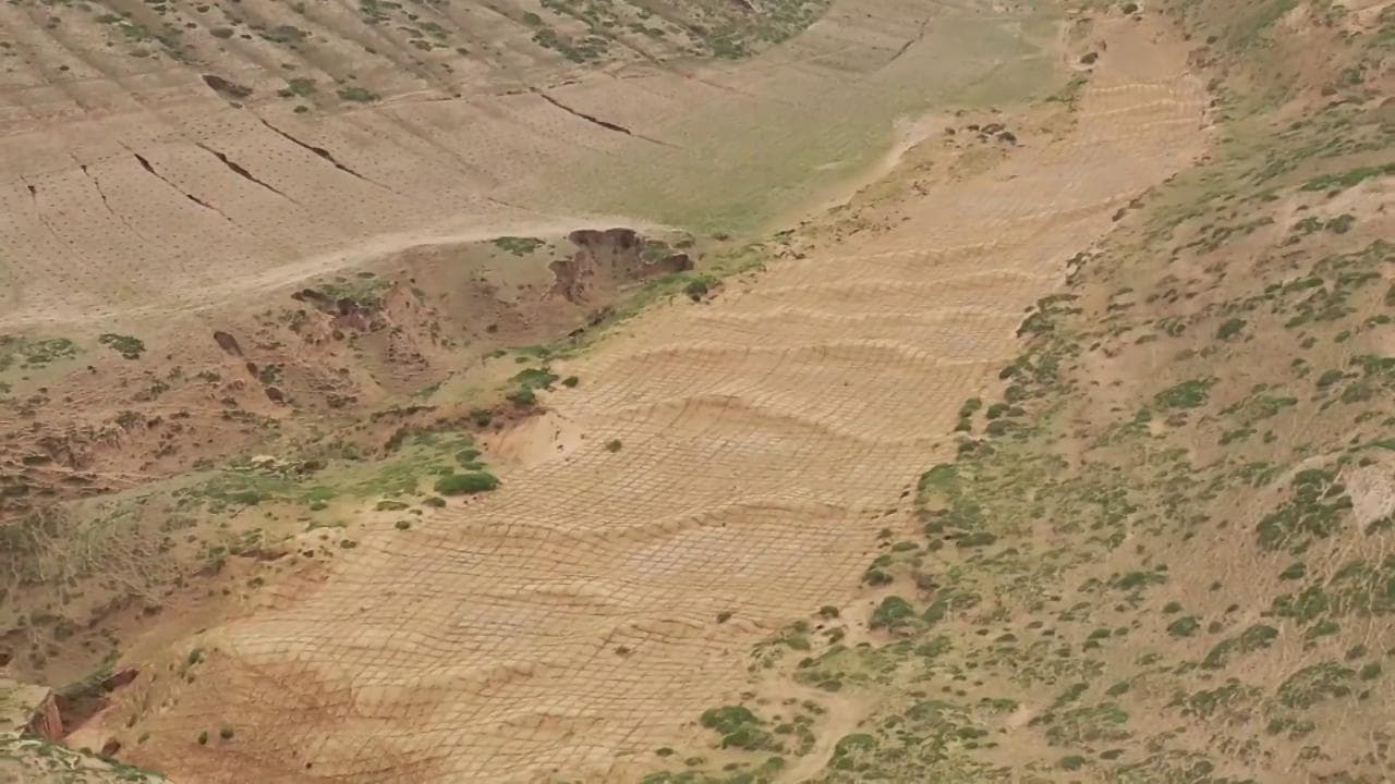 La Cina ha fatto rinascere foreste dove la sabbia e il deserto avevano divorato tutto