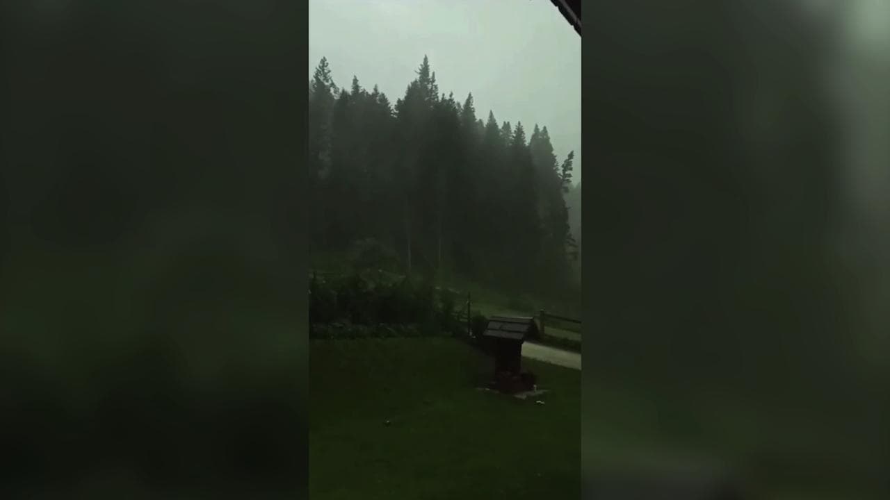 Maltempo, in provincia di Belluno gli alberi cadono come birilli per la tempesta