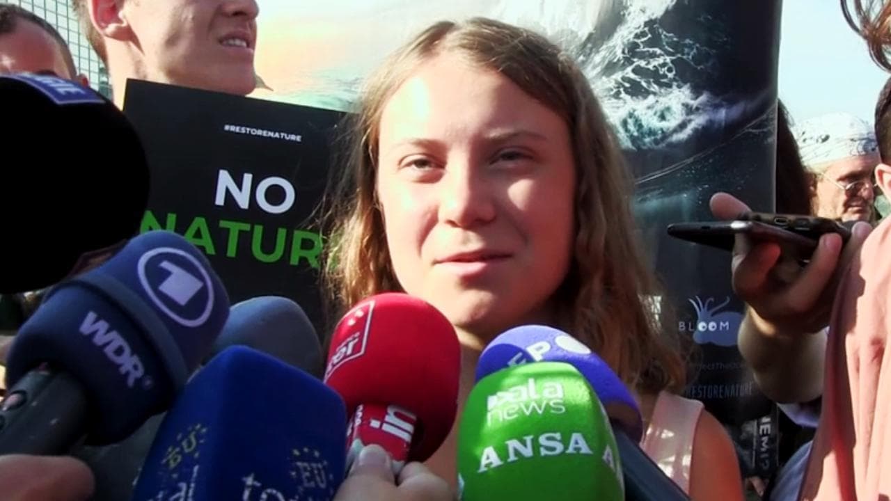 Legge Ripristino della Natura, Greta Thunberg protesta davanti al Parlamento europeo contro il No