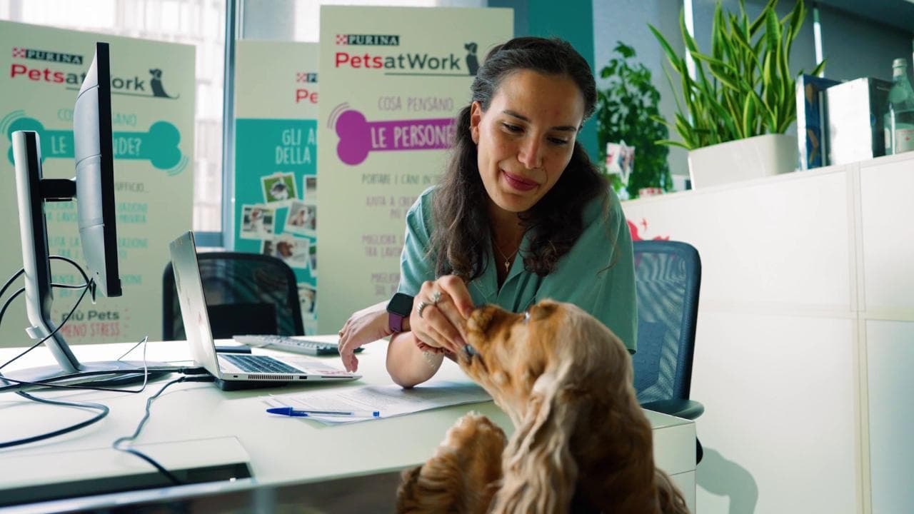 Dai cani in ufficio al cibo del futuro: come nasce una crocchetta 'intelligente'