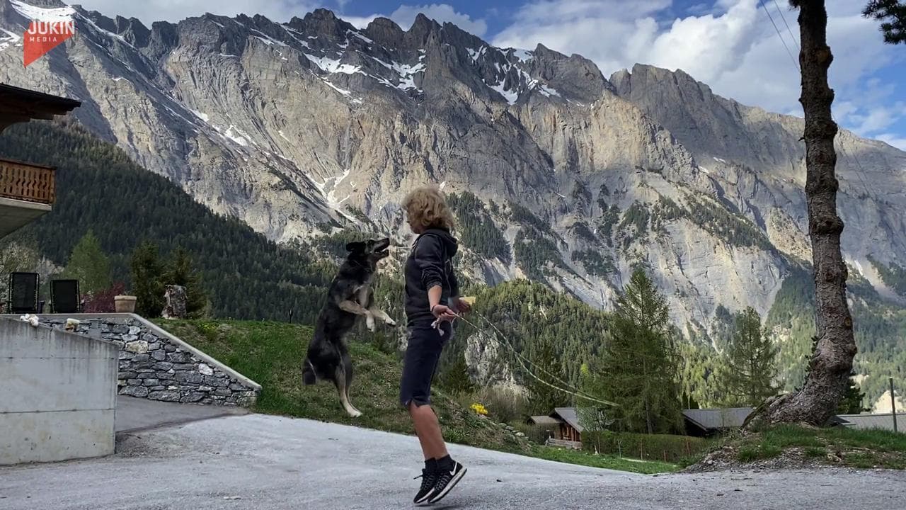Coronavirus, la donna fa sport in casa e il cane impara a saltare la corda