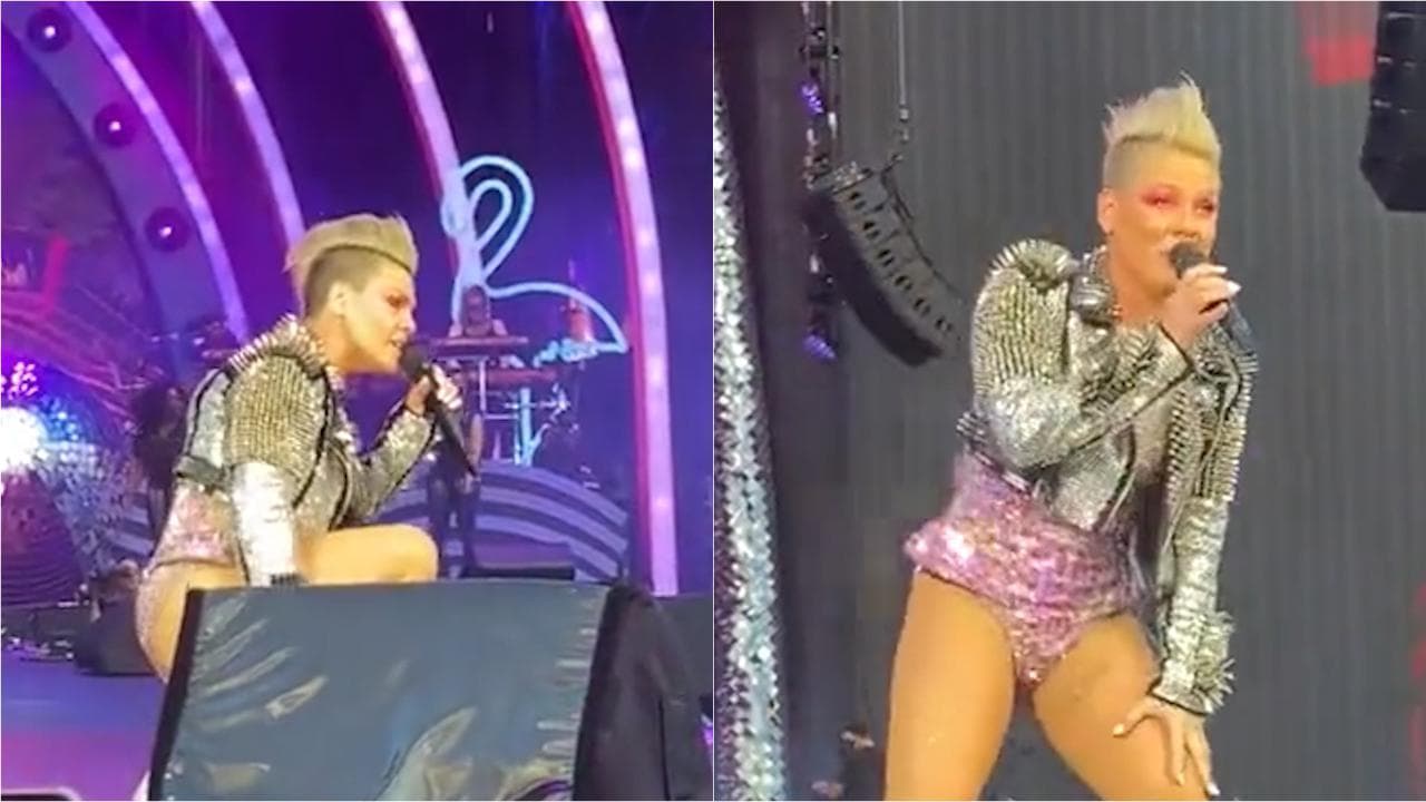 Pink interrompe un concerto quando un fan le tira le ceneri della madre: la reazione della pop star