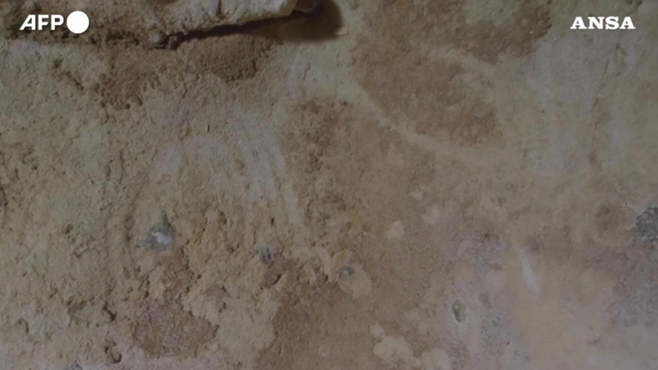 Francia, scoperte incisioni rupestri di 47mila anni fa: potrebbe essere la grotta più antica d'Europa