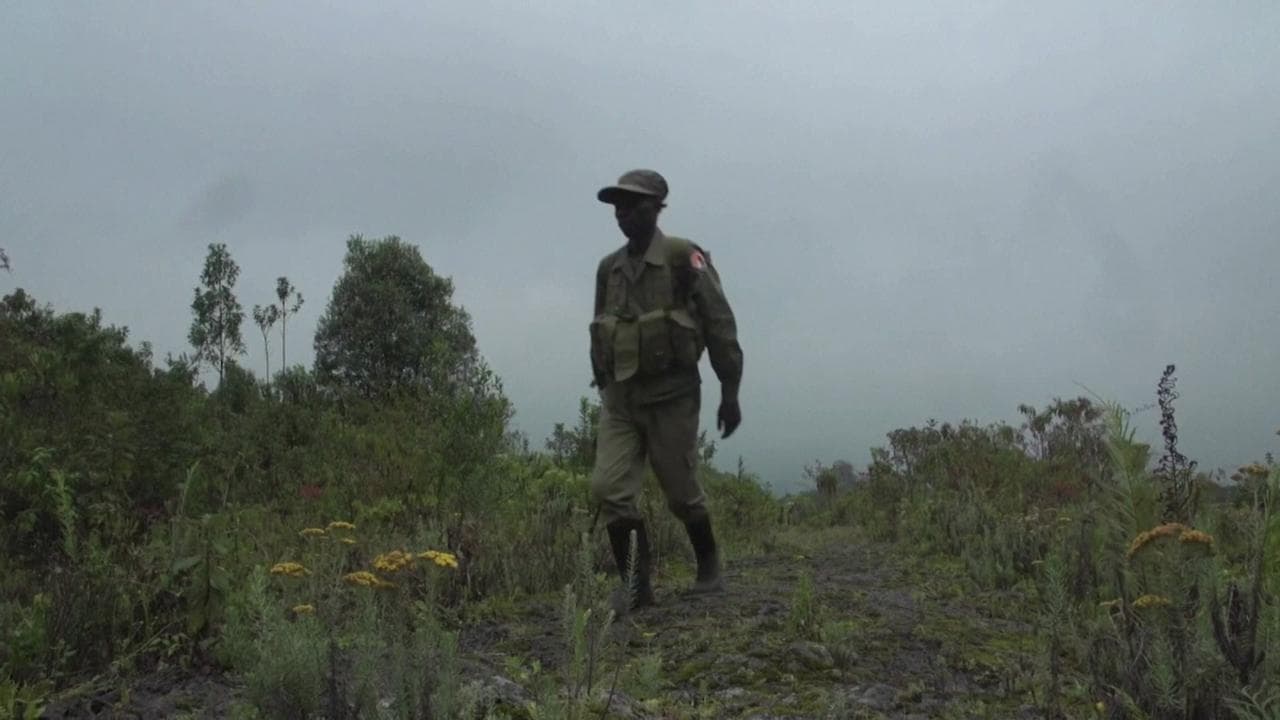 Congo, uccisi ambasciatore italiano e un carabiniere: il luogo dell'attacco