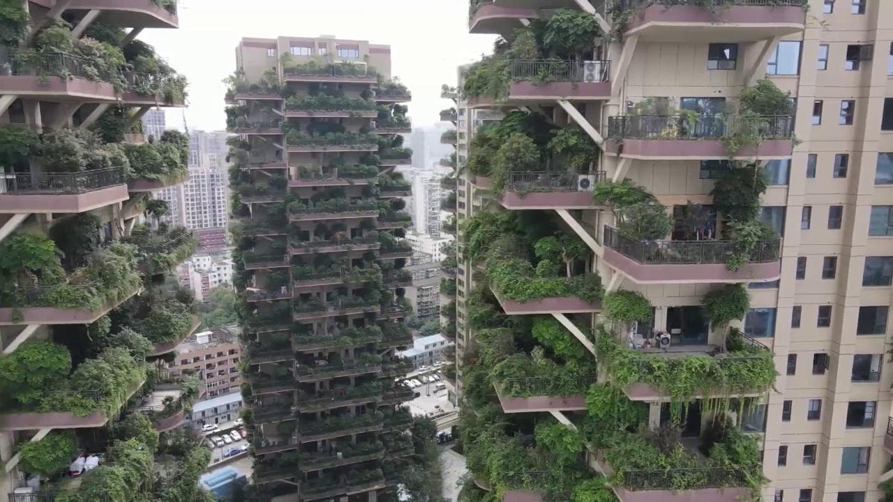 Nasce in Cina un "Bosco verticale" come quello di Boeri: per un dettaglio è diventato un fallimento