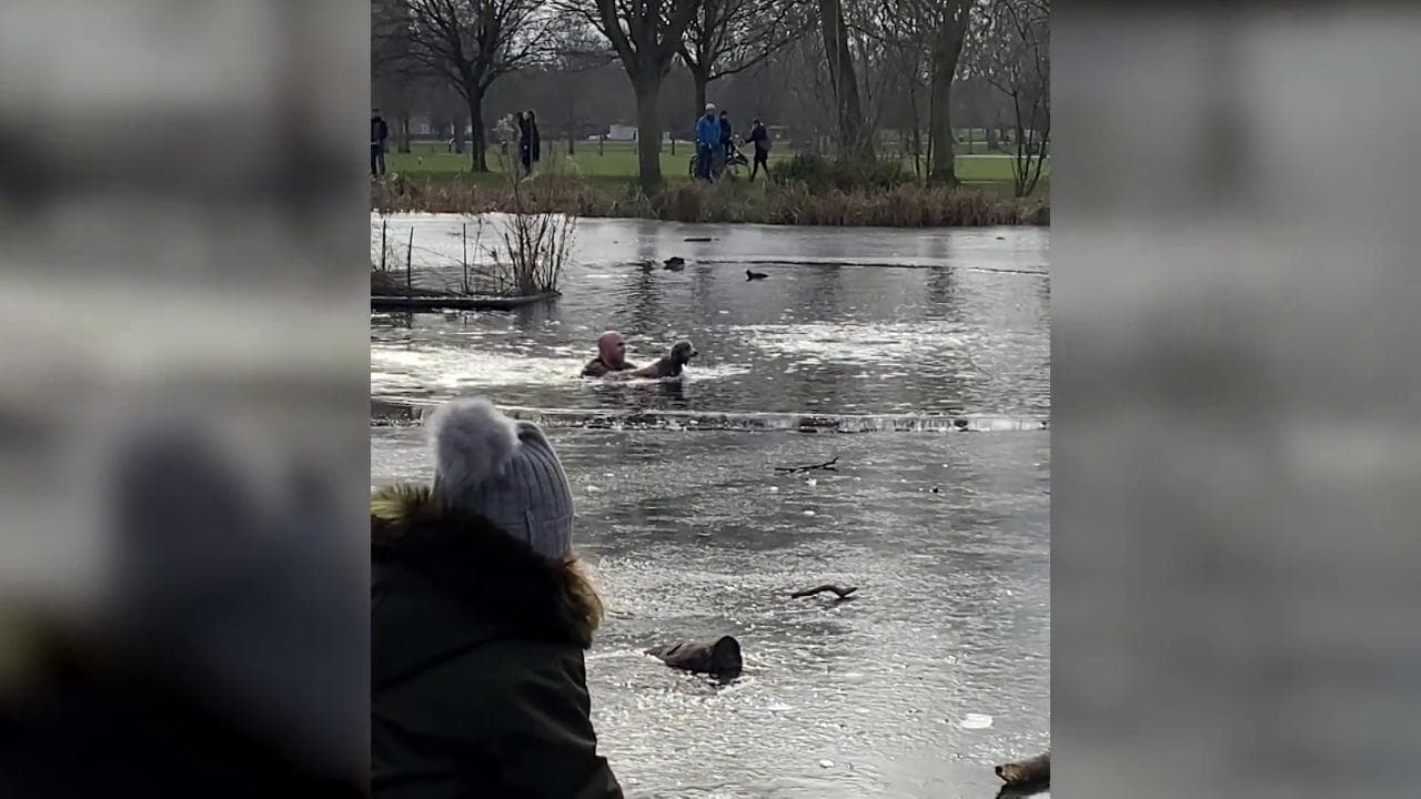 Londra, cagnolino scivola nel lago ghiacciato: il padrone si tuffa in acqua e lo salva