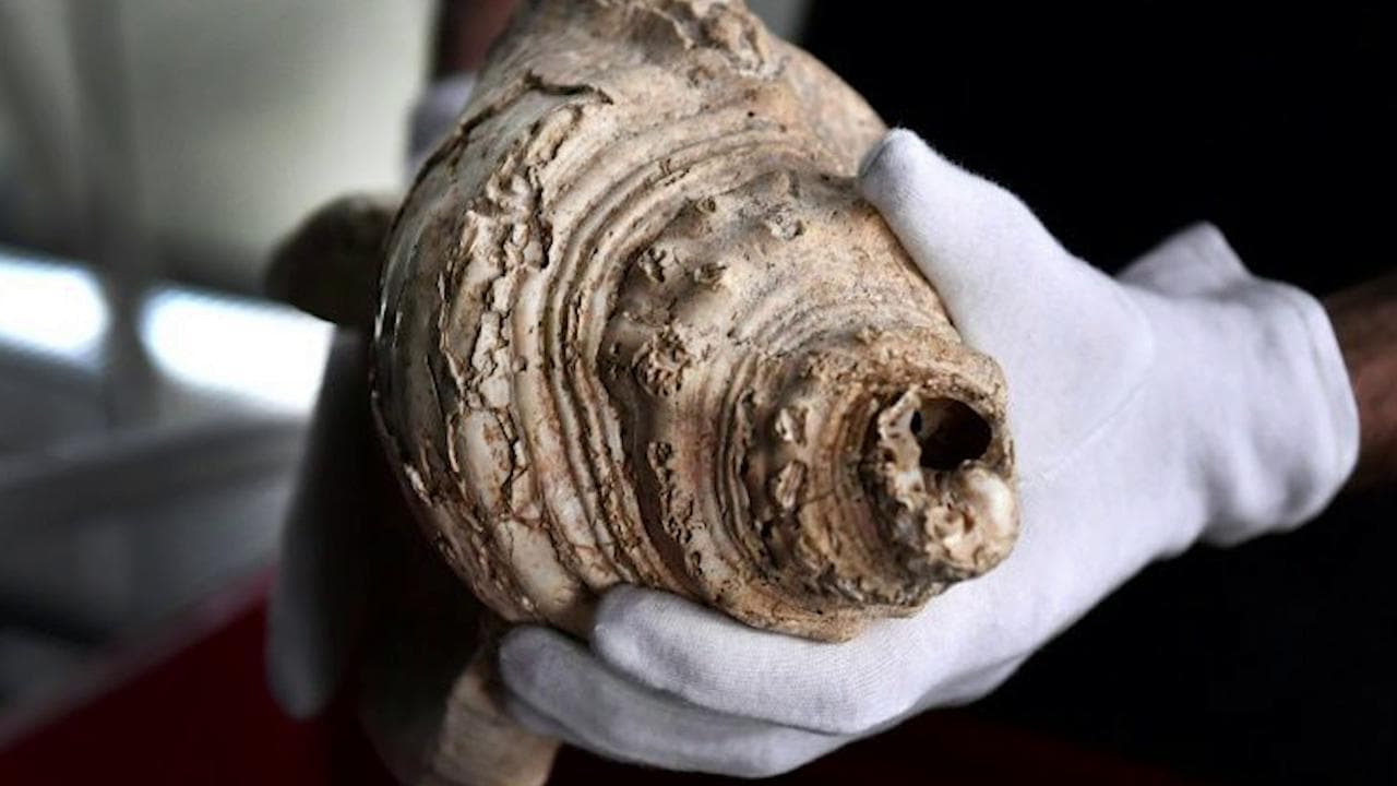 Ecco il suono di uno strumento musicale di 18.000 anni fa ritrovato in una grotta dei Pirenei
