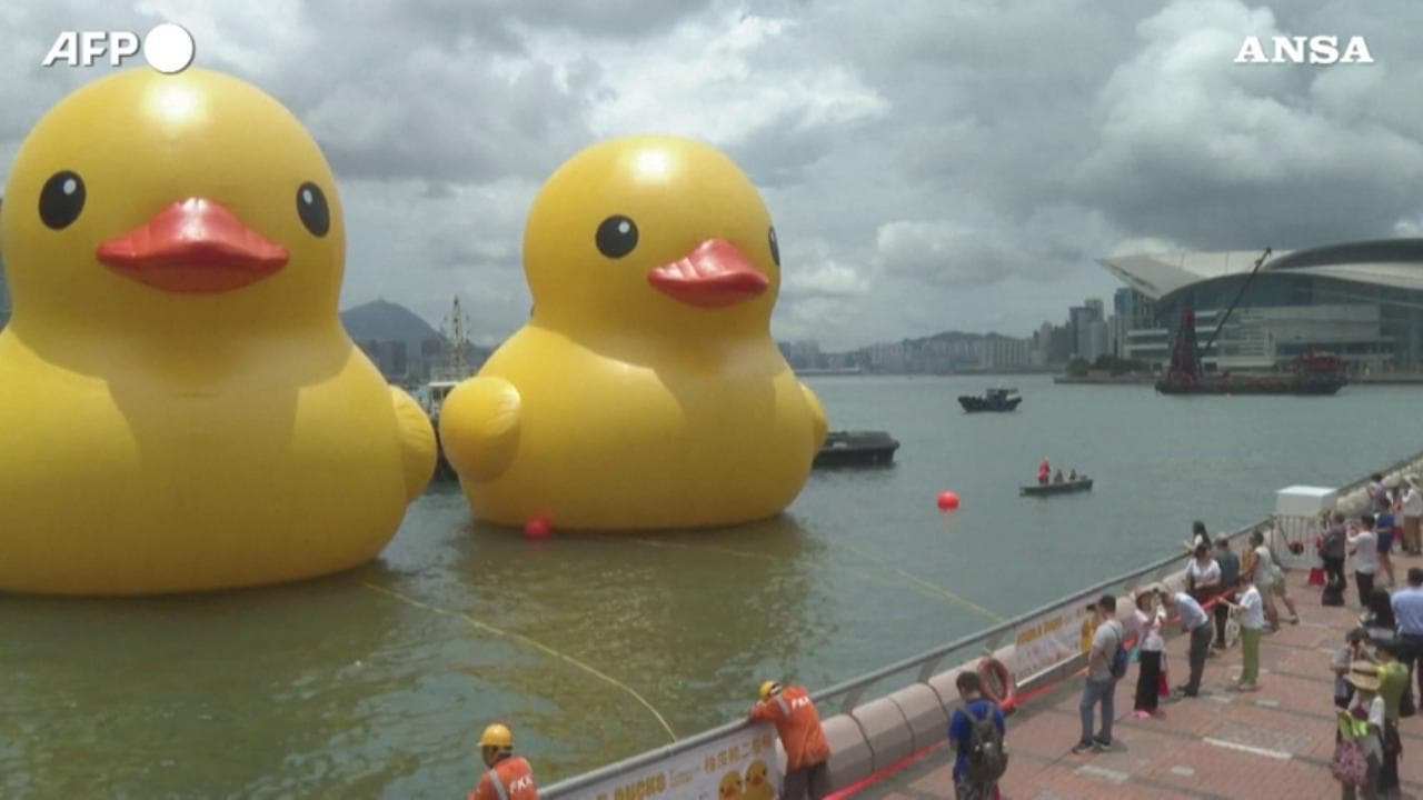 Hong Kong, la paperella gigante portafortuna torna in mare con la sua gemella