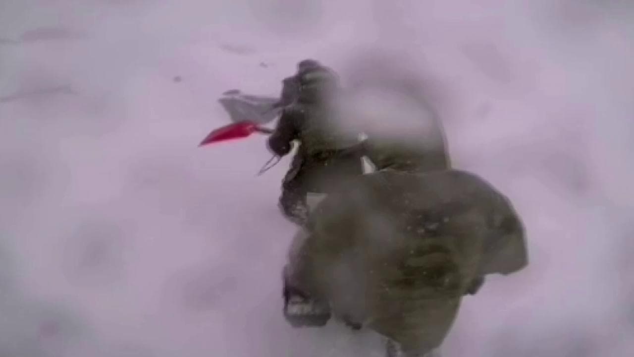 Turchia, neanche la tormenta riesce a fermarli: i soldati continuano a spalare neve a -30