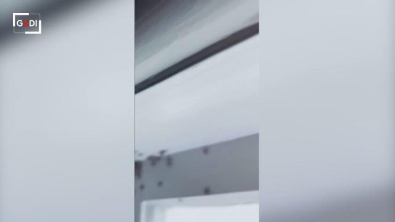 Sydney, la mamma riprende la stanza della figlia invasa dai ragni