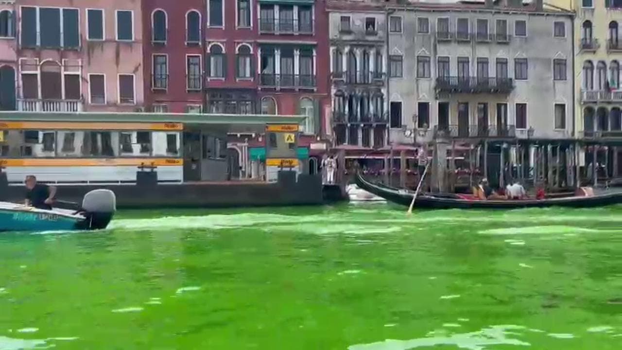 Venezia, l'acqua del Canal Grande diventa verde fosforescente