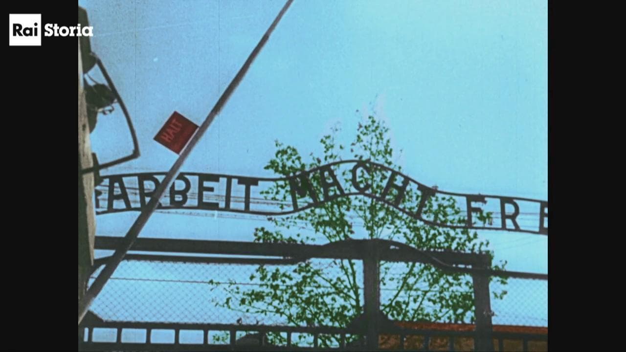 'Testimoni di Auschwitz', racconti a colori dai campi di sterminio - clip