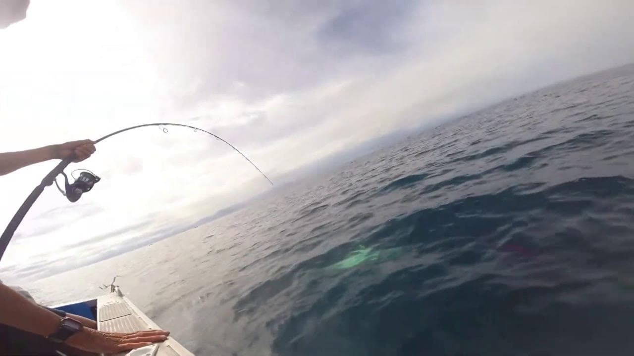 Stanno pescando dalla barca ma uno squalo mangia l'esca: il finale lascia a bocca aperta