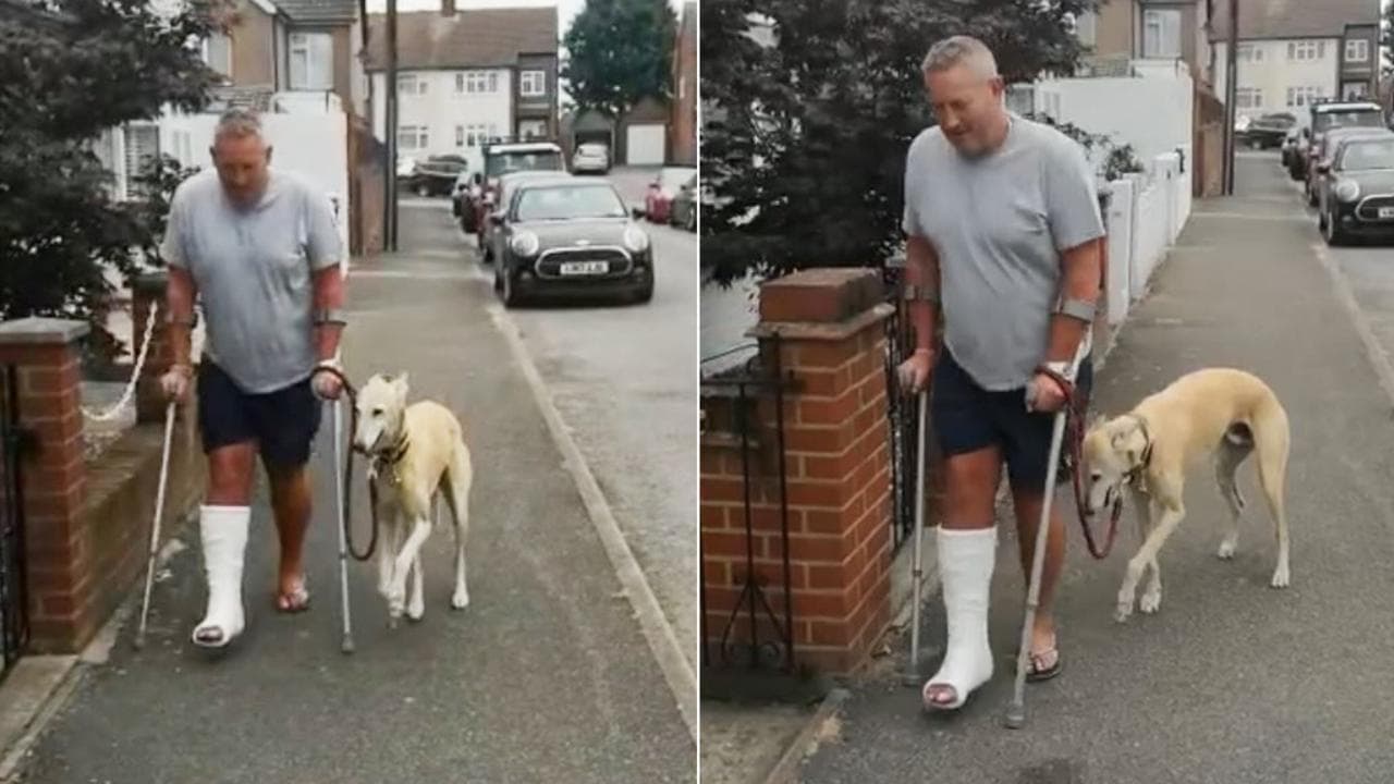 Il proprietario ha la gamba ingessata e il cane inizia a zoppicare: "Mi stava imitando, lo amo"