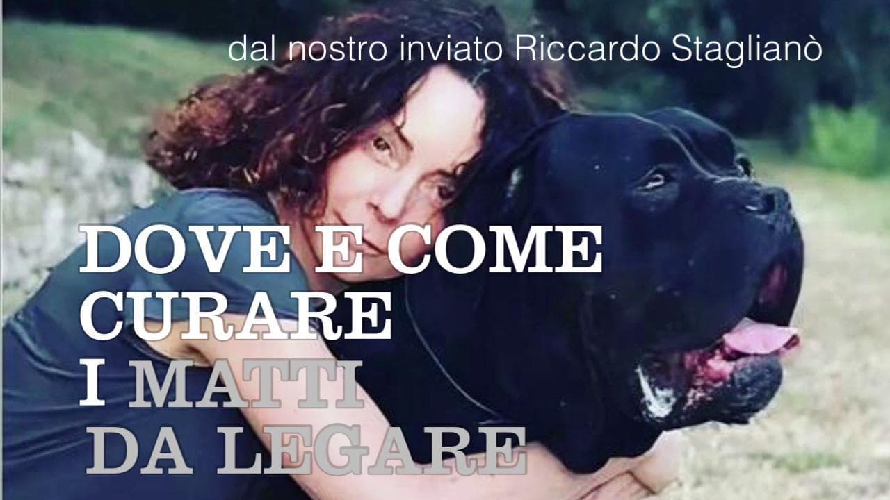 Dove e come curare i matti da legare
